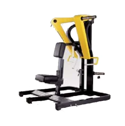 Titanium FFS-6065 Low Row